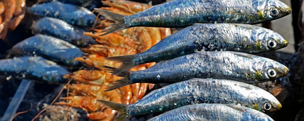 sardines