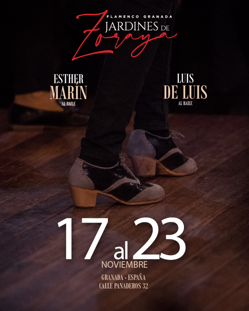 Programación del 17 de Noviembre al 23 de Noviembre