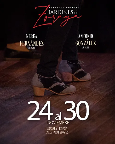 Programación del 24 de Noviembre al 30 de Noviembre