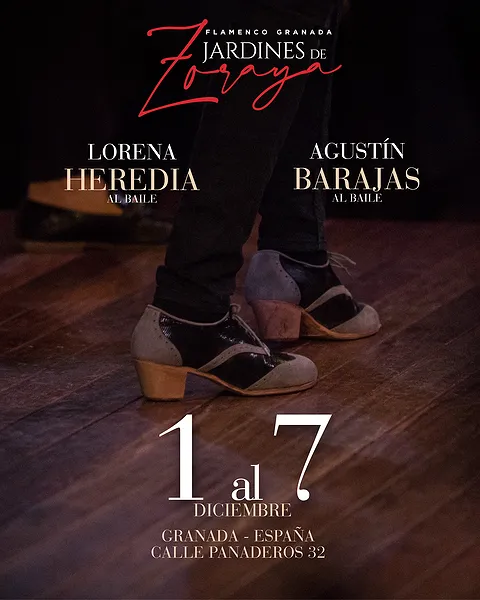 Programm vom 1. Dezember bis 7. Dezember