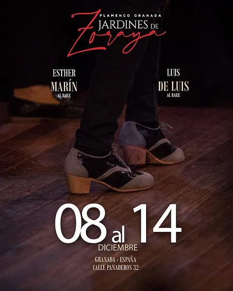 Programmazione dall'8 al 14 dicembre