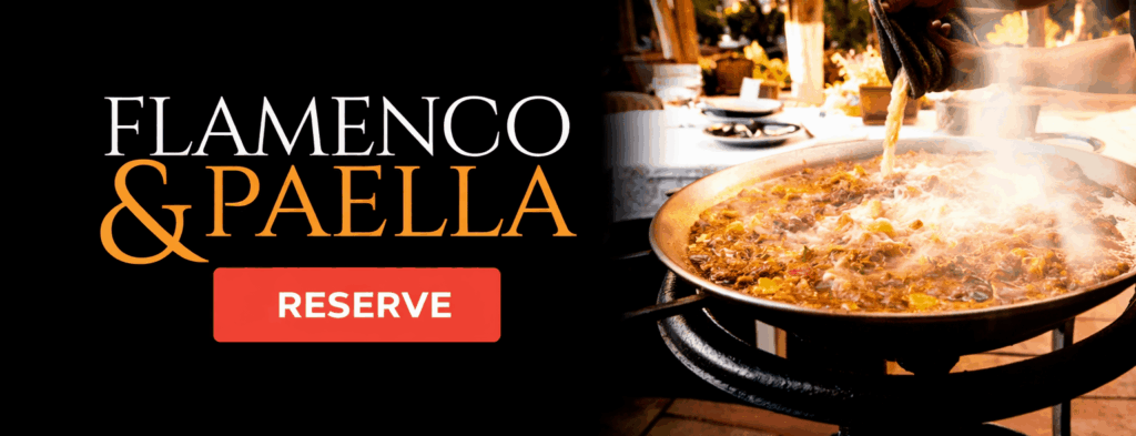 flamenco show granada and paella