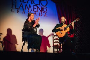 Spettacolo di flamenco nel centro di Granada