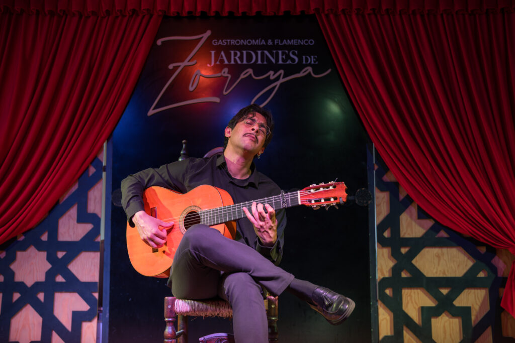 artista flamenco tocando un palo flamenco