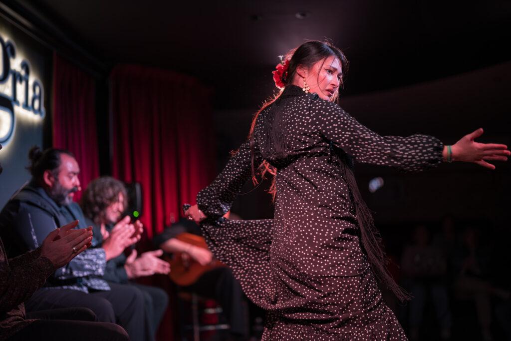mujeres flamencas en Jardines de Zoraya