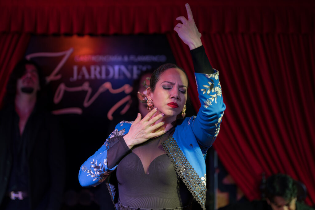 palo flamenco sevillana baile